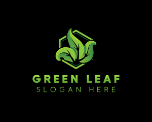 Plant Garden Leaf logo design