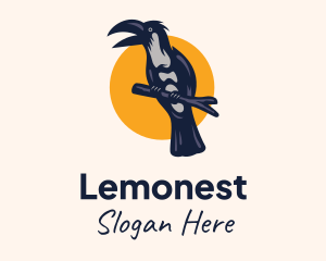 Branch - Tree Branch Hornbill logo design