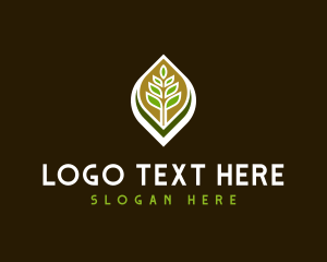 Botany - Leaves Plant Environment logo design