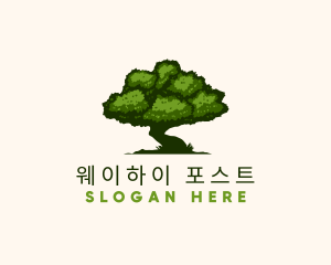 Natural Tree Nature  logo design