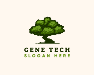 Natural Tree Nature  logo design