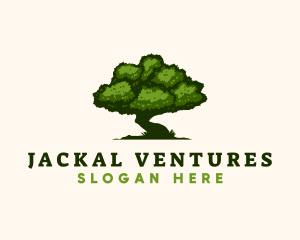 Natural Tree Nature  logo design