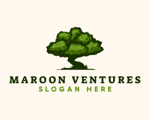 Natural Tree Nature  logo design