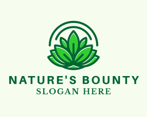 Natural Therapeutic Lotus  logo design