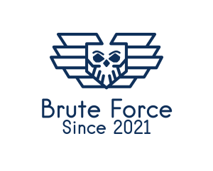 Blue Skull Air Force  logo design