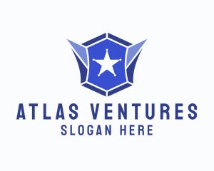 Geometric Gem Star Crest logo design