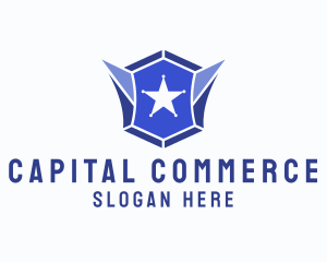 Geometric Gem Star Crest logo design