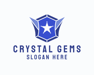 Geometric Gem Star Crest logo design