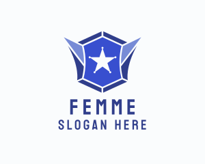 Geometric Gem Star Crest logo design