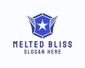 Geometric Gem Star Crest logo design