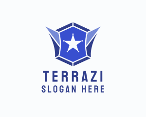 Geometric Gem Star Crest logo design