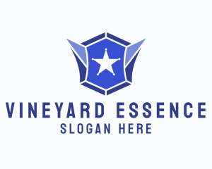 Geometric Gem Star Crest logo design