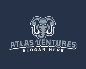 Furious Elephant Esport logo design