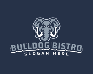 Furious Elephant Esport logo design