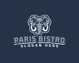 Furious Elephant Esport logo design