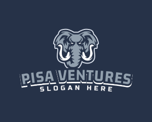 Furious Elephant Esport logo design