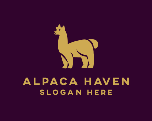 Wild Alpaca Animal logo design