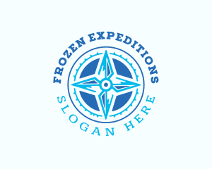 Compass Travel Expedition logo design