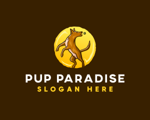 Canine Dog Ball logo design