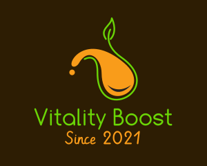 Healthy Orange Juice  logo design