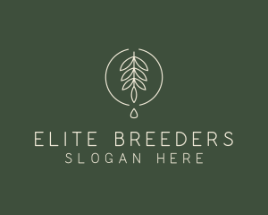 Eucalyptus Leaf Oil logo design