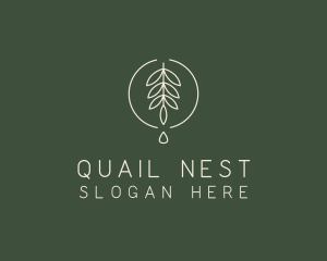 Eucalyptus Leaf Oil logo design