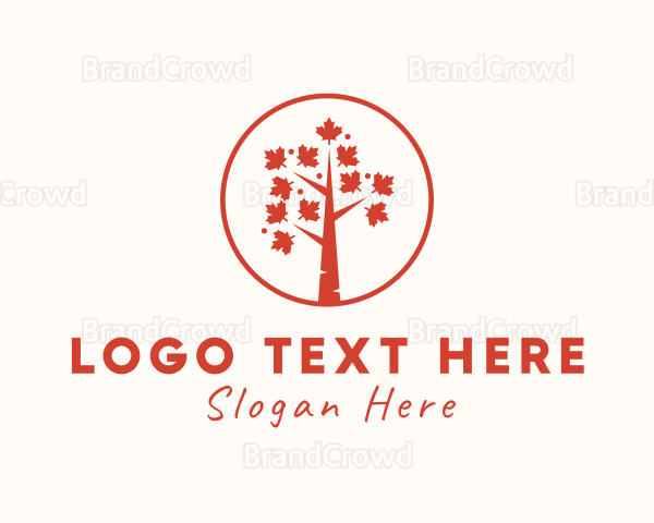 Maple Tree Forest Logo