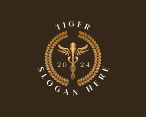Physician - Medical Caduceus Health logo design