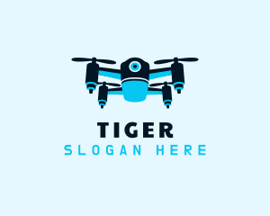 Blue Drone Surveillance logo design