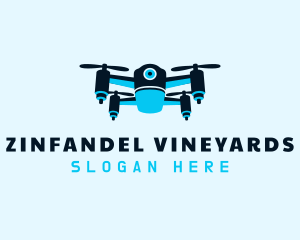 Blue Drone Surveillance logo design