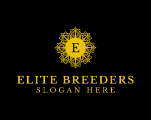 Premium Luxury Company logo design