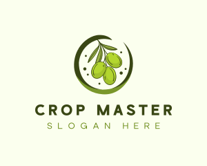 Fresh Olive Harvest logo design