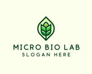 Green Plant Organic logo design