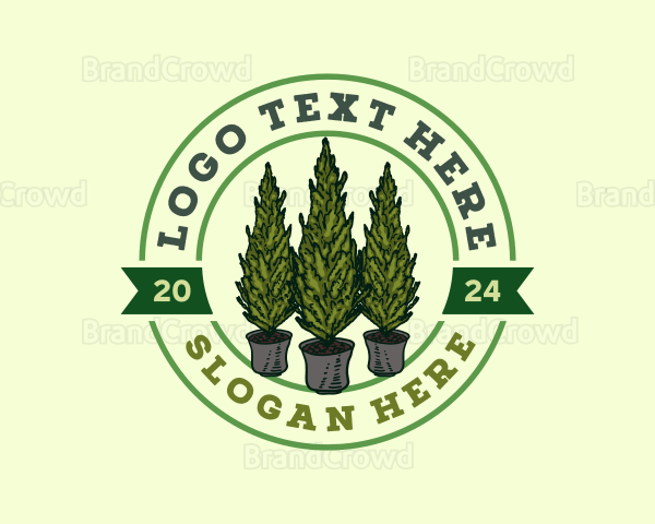 Greece Cypress Plant Logo