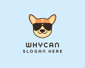 Groomer - Dog Kennel Sunglasses logo design