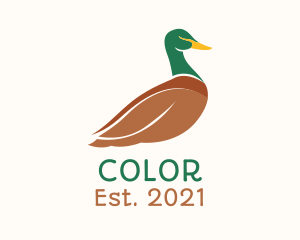 Colorful - Mallard Duck Bird logo design