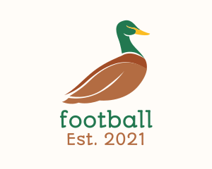 Bird - Mallard Duck Bird logo design