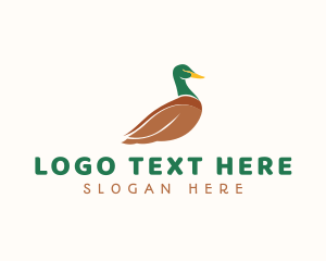 Avian - Mallard Duck Bird logo design