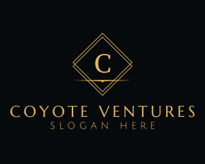 Premium Elegant Diamond logo design