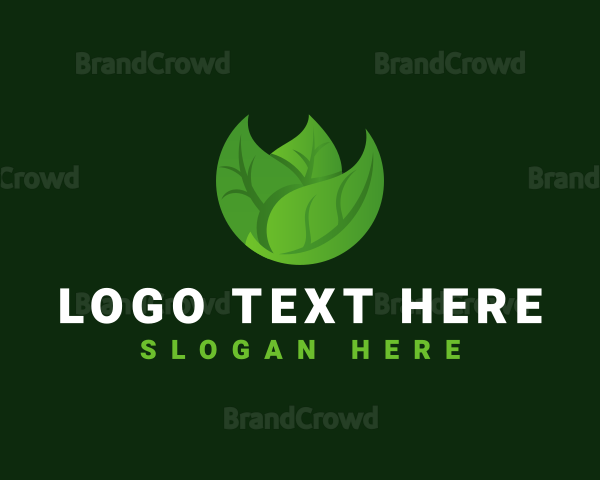 Plant Leaf Eco Logo
