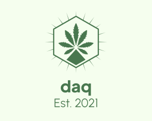 Cbd - Weed Dispensary Hexagon logo design