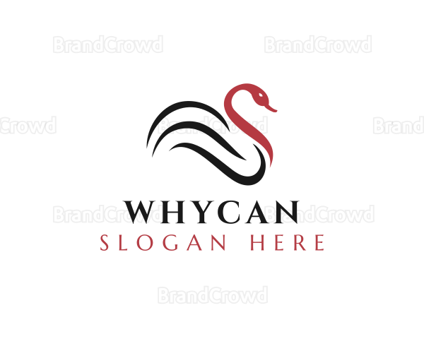Swan Bird Duck Logo
