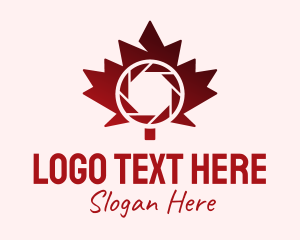 Maple Leaf Shutter  Logo