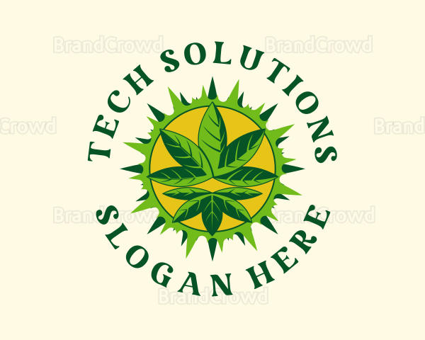 Solar Botanical Hemp Logo