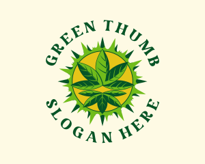 Solar Botanical Hemp logo design