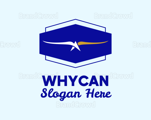 Flying Eagle Airline Logo