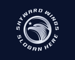 Aeronautics - Eagle Hawk Bird logo design