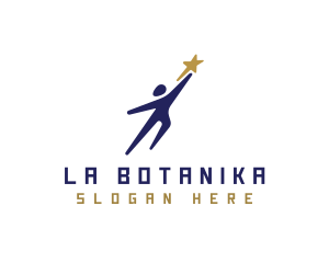 Leadership Star Organization Logo