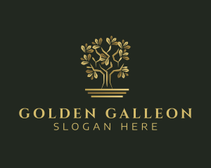 Golden Bonsai Tree logo design