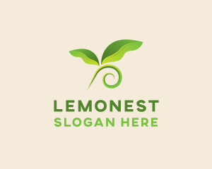 Natural Botanical Leaves Logo